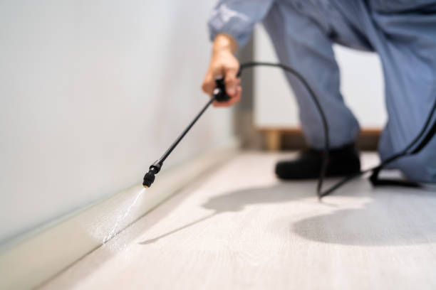 Rodent Entry Point Assessment in San Jose