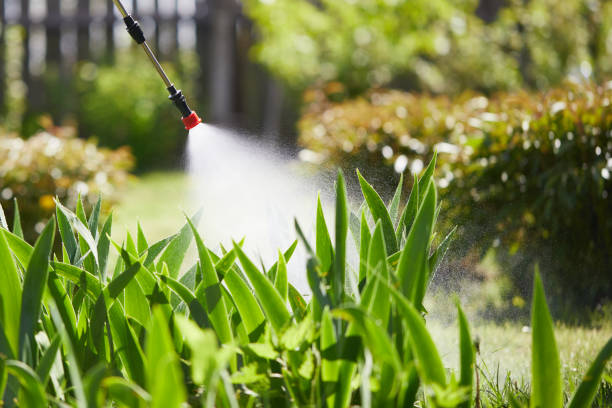 Tamper-Resistant Bait Stations for Rodents in San Jose