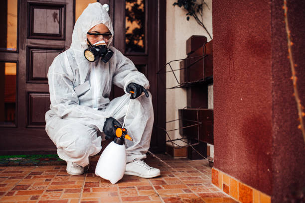 Attic and Crawl Space Rodent Treatment in San Jose