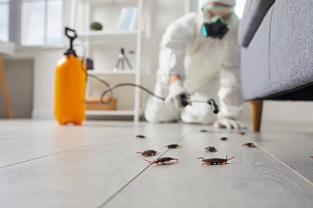 Commercial Rodent Management in San Jose